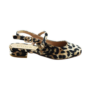 Aurora Leopardo