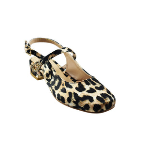 Aurora Leopardo